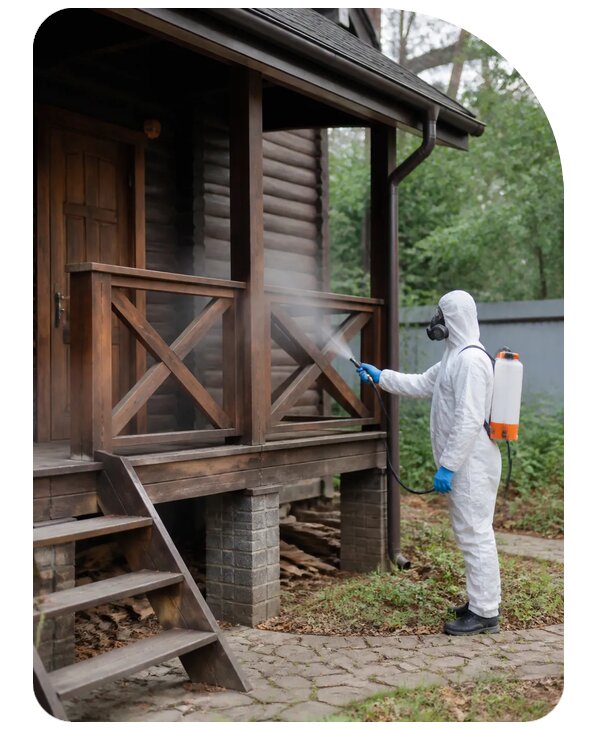 Дезинсекция дачи недорого в Одинцове по цене от 4142 р. | Сенат-Днц